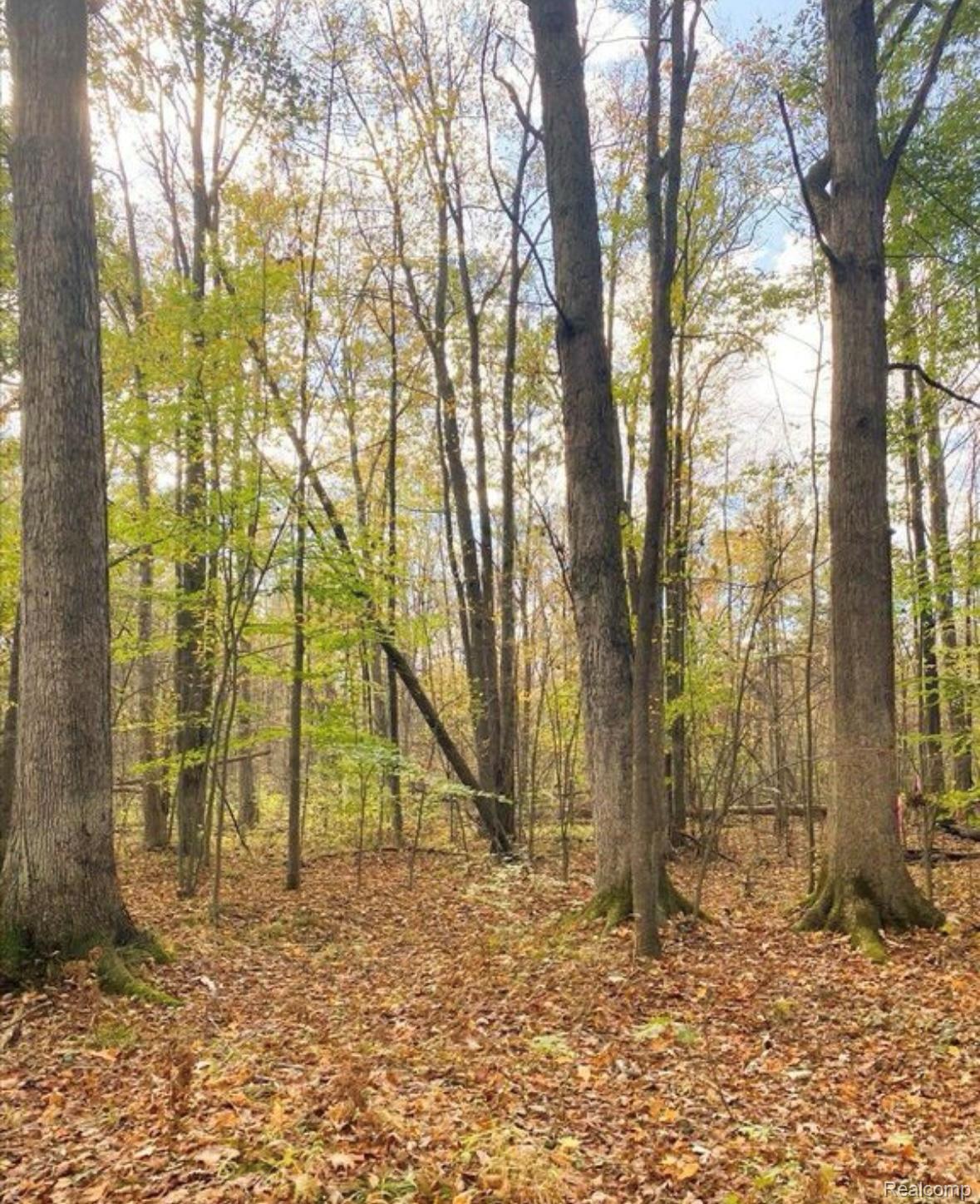 Chippewa Township, Michigan 48858, United States, ,Land,Active,203853