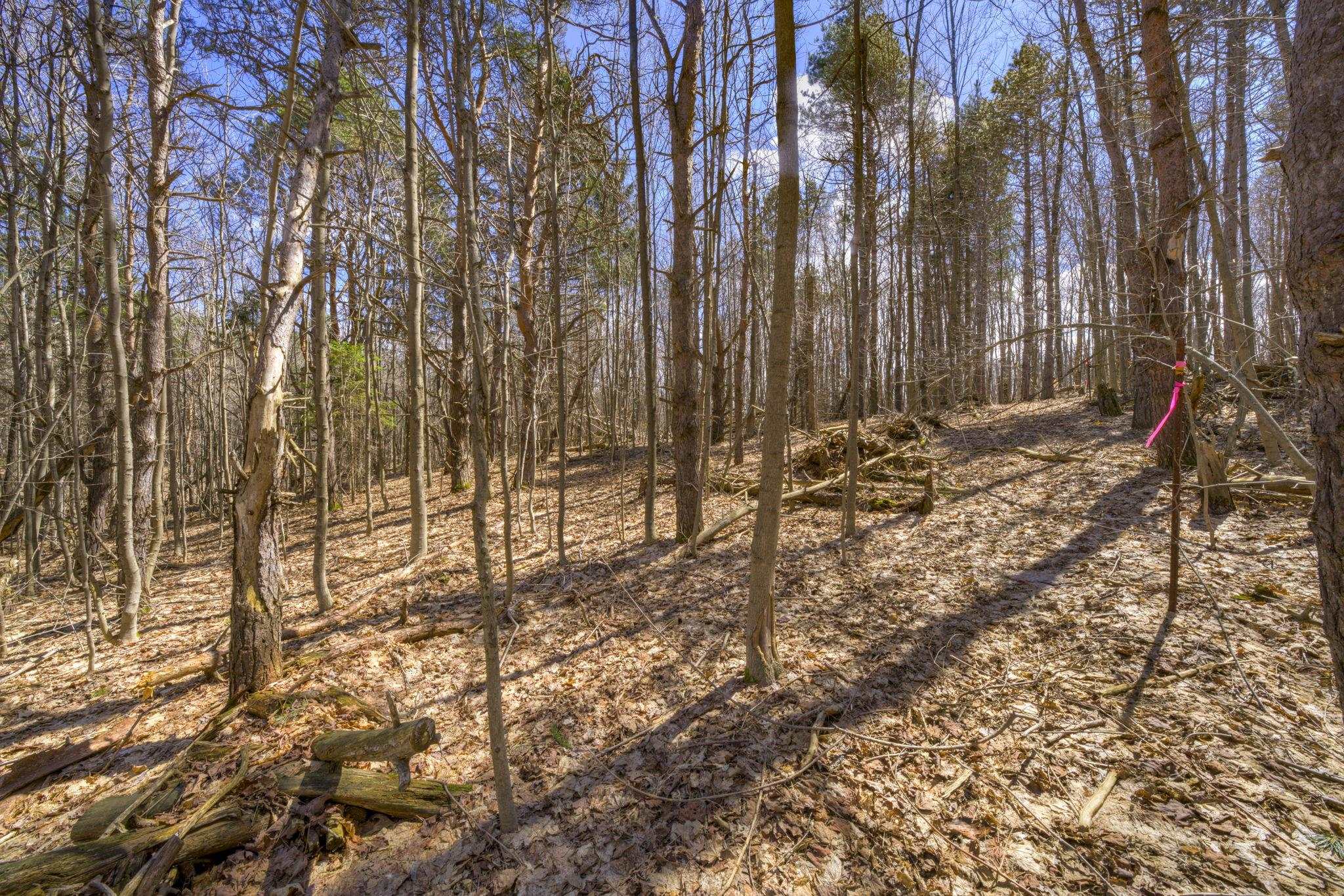 Parcel A E Bodus Road