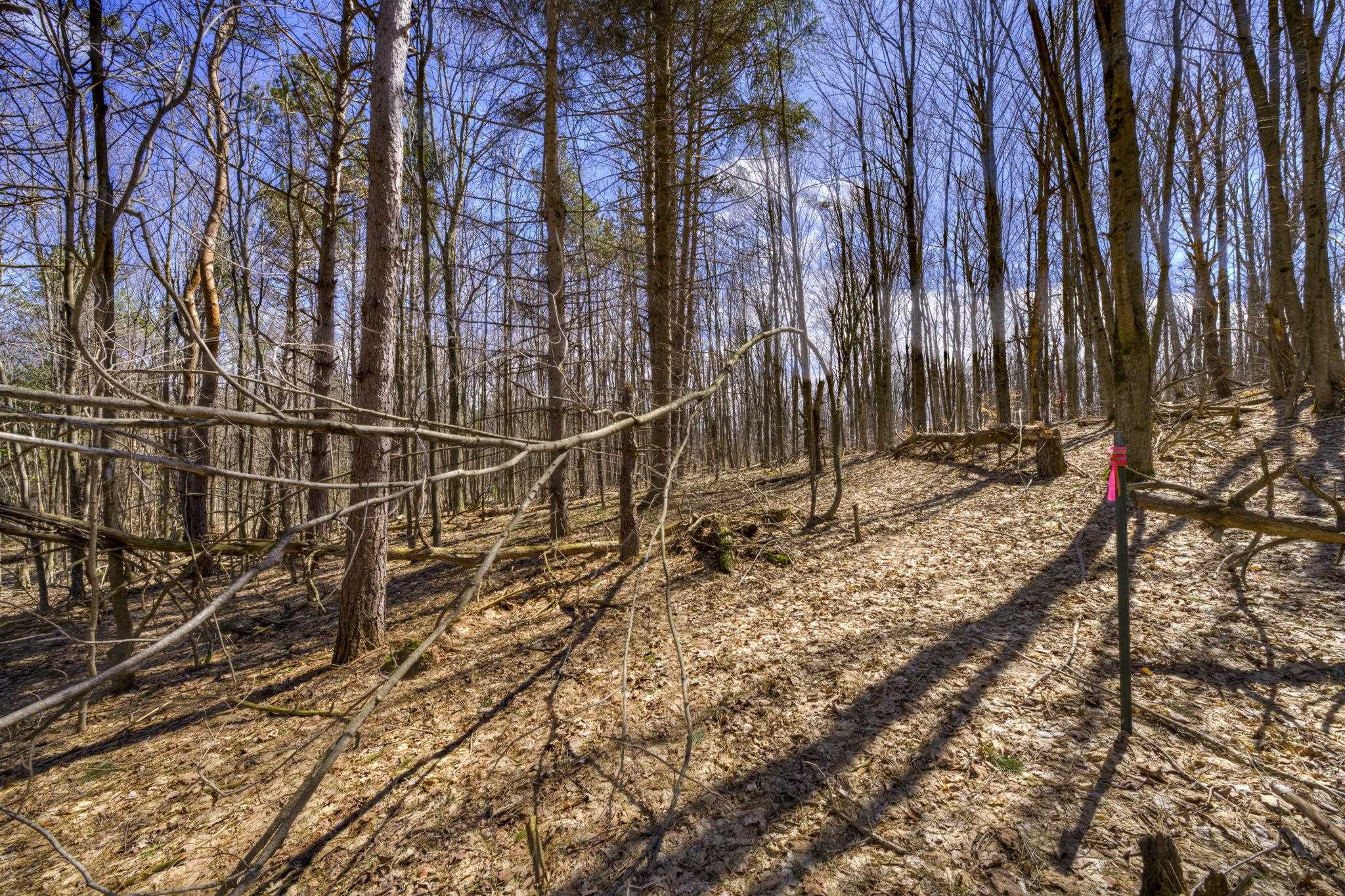 Parcel A E Bodus Road