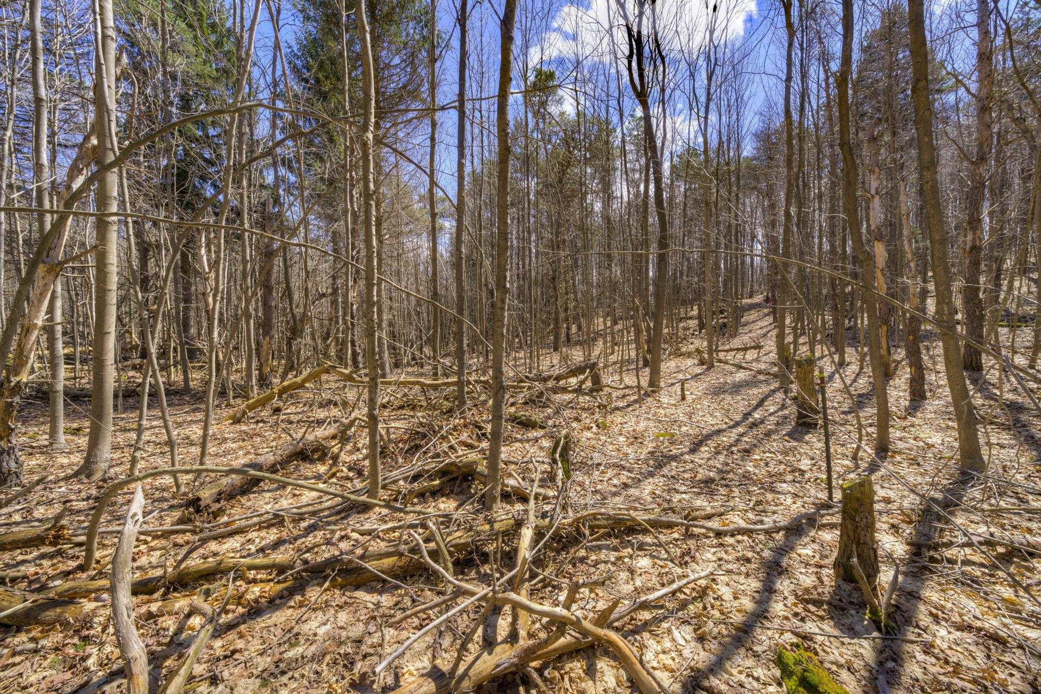 Parcel A E Bodus Road