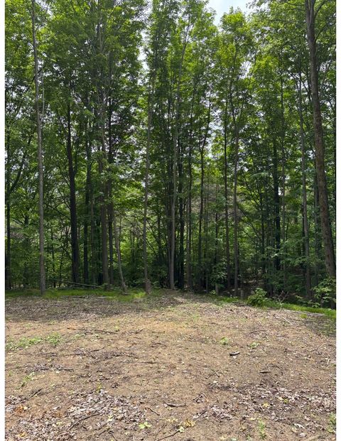 Parcel A N 45 Road Cedar Creek Township MI 49663