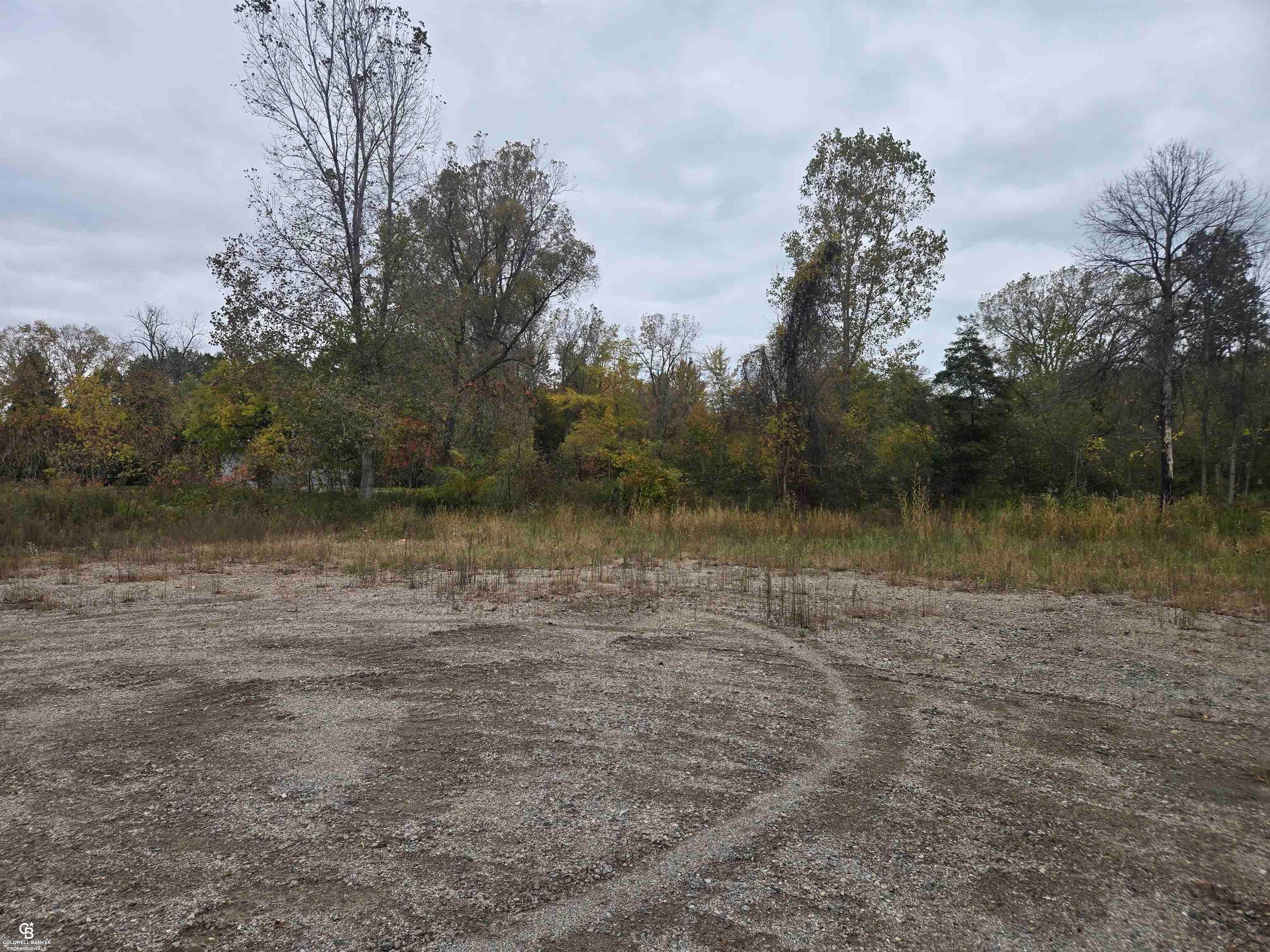 00 Michigan VL Road