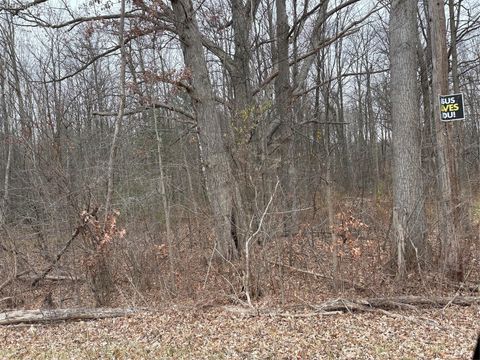 0 Lapeer Clyde Township MI 48049