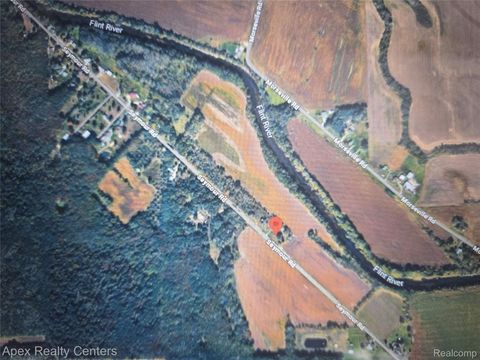 11441 Seymour Road Taymouth Township MI 48417