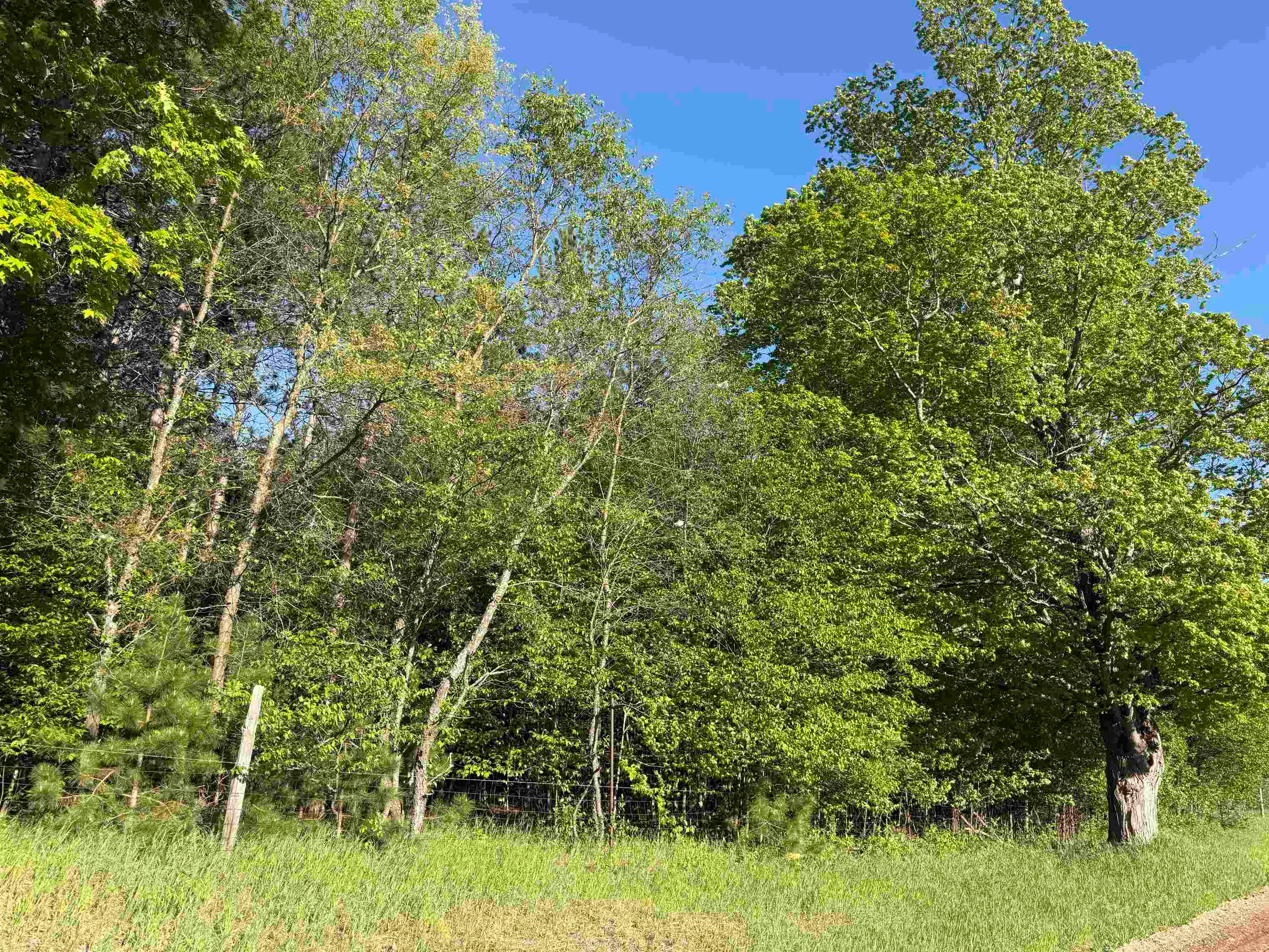 Lot E 9.08 ACRE Lake