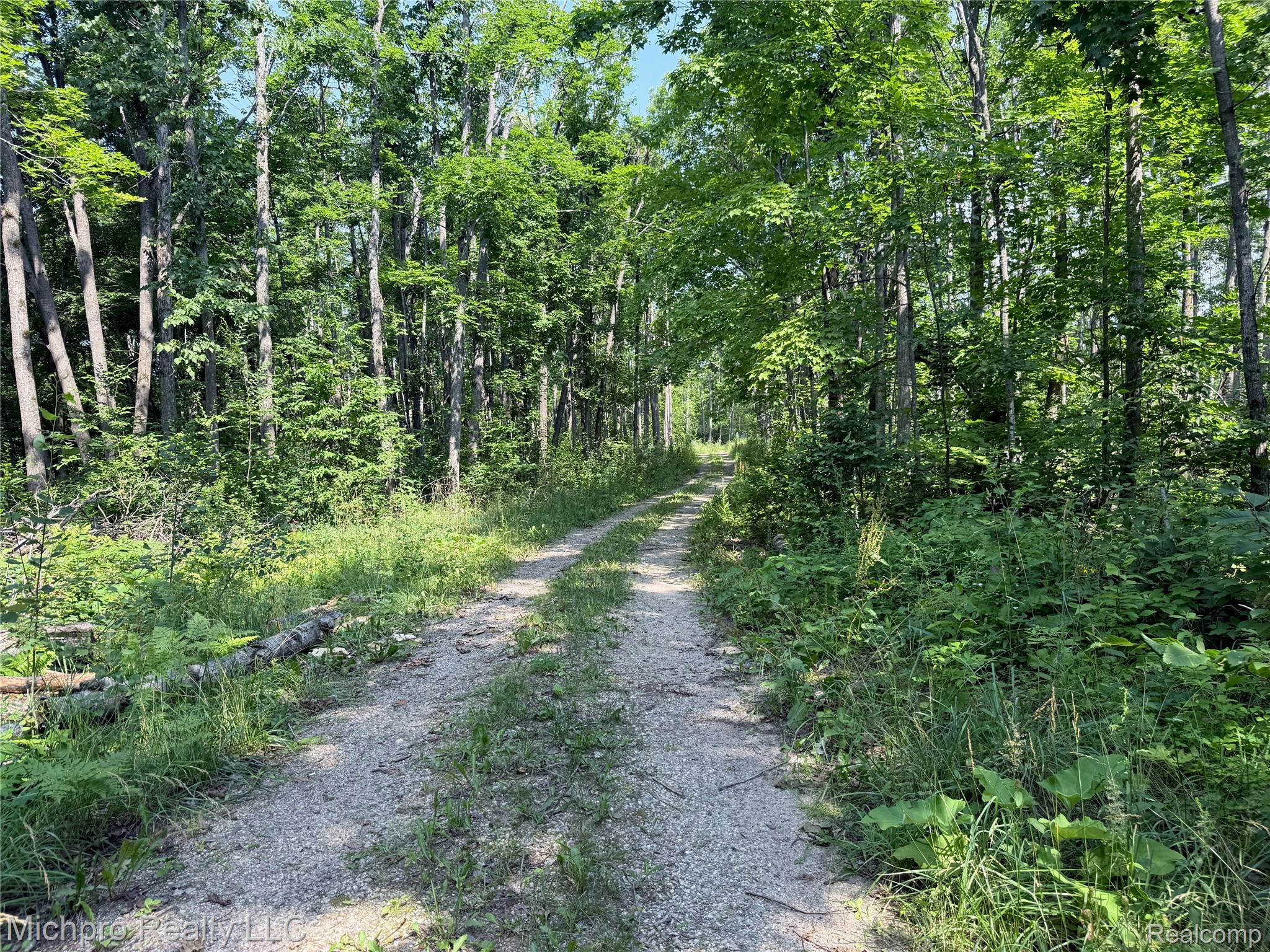 VL McKee Road
