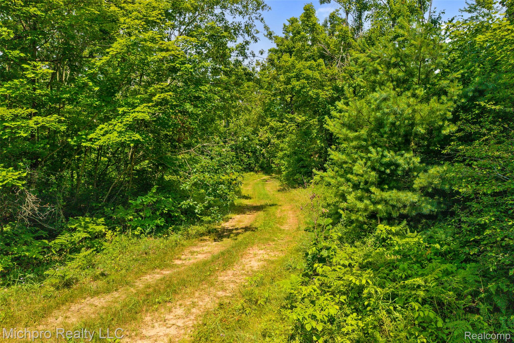 VL McKee Road