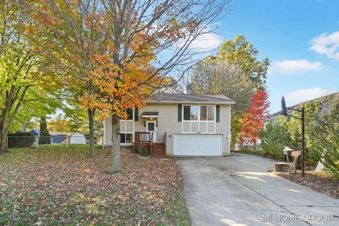 11957 Barnard Street Robinson Township MI 49417