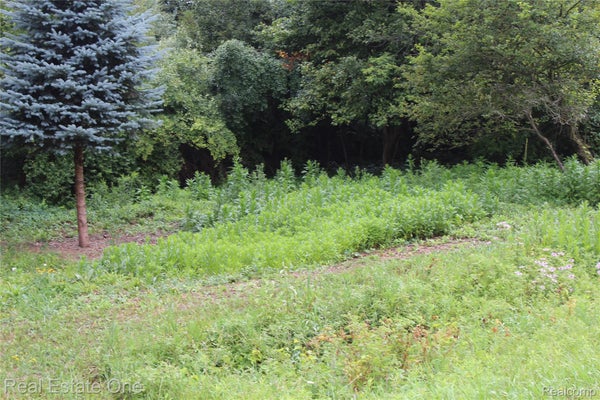 GREENSBORO WAY, GLADWIN, MI 48624 - Image b5f2da3bf70a202fa7f83736e222b651/1238983224