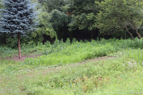 Photo for Lot 149 Greensboro Way