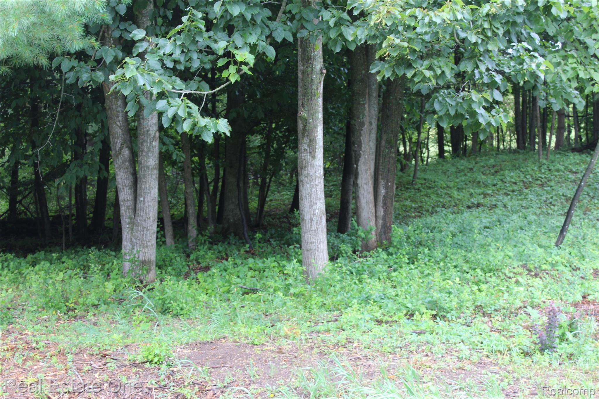 Lot 149 Greensboro Way