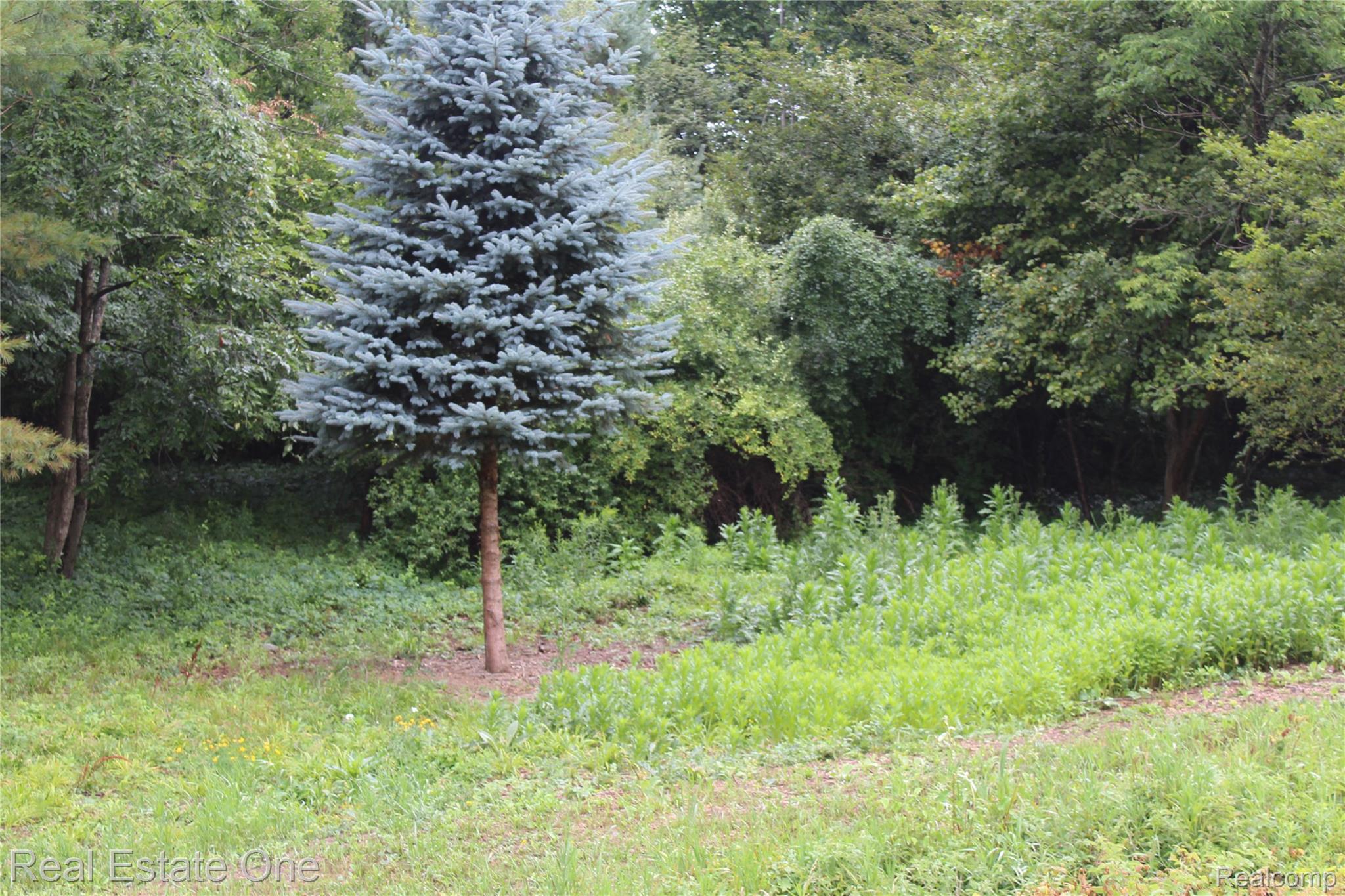 Lot 149 Greensboro Way