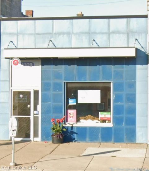 11329 Joseph Campau Hamtramck City MI 48212