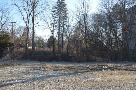 328 N CENTER Street Northville City MI 48167