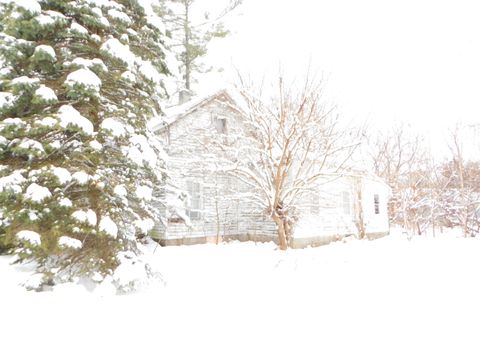 111 E Saint Marys Street Decatur Village MI 49045