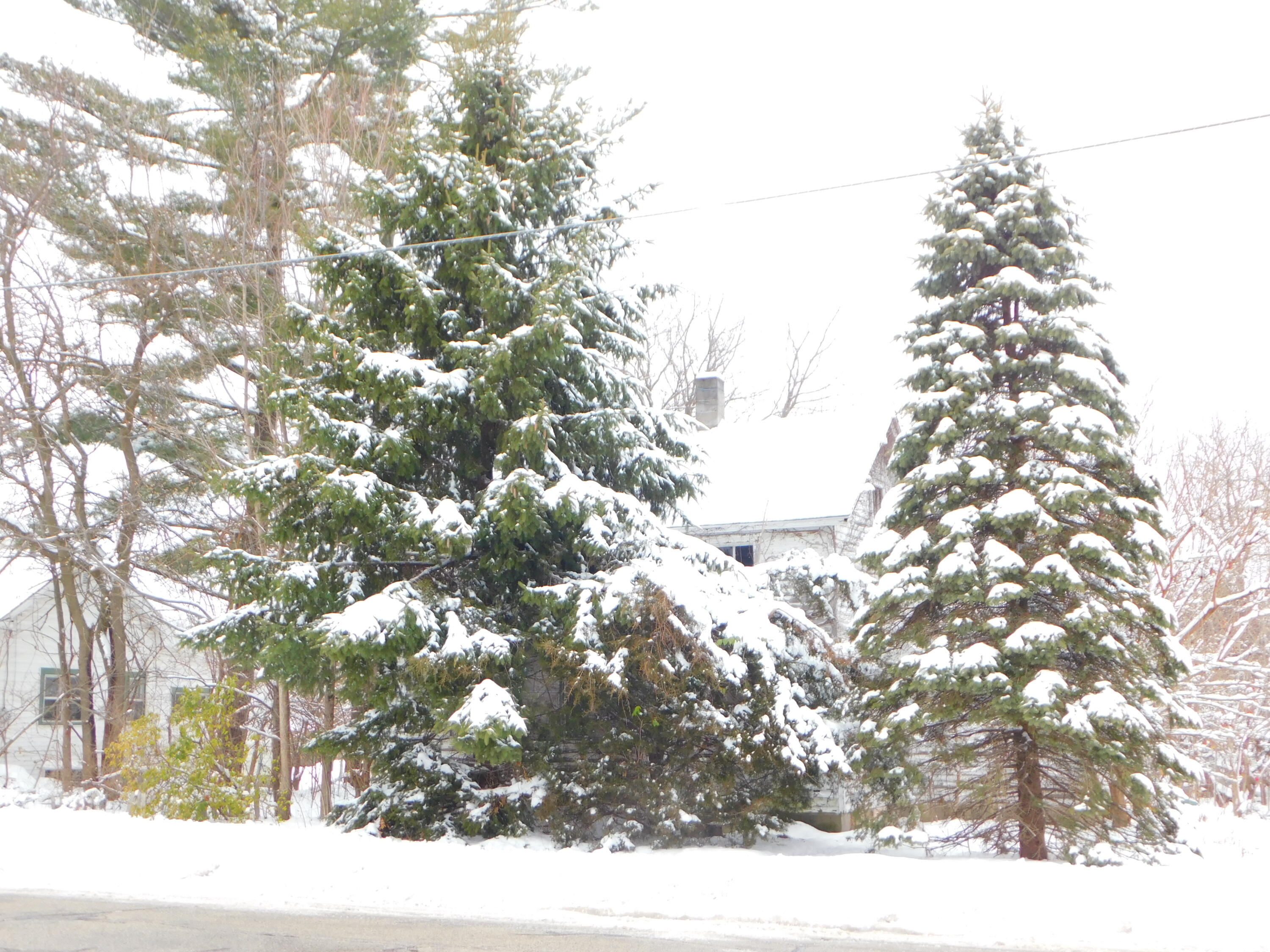 111 E Saint Marys Street