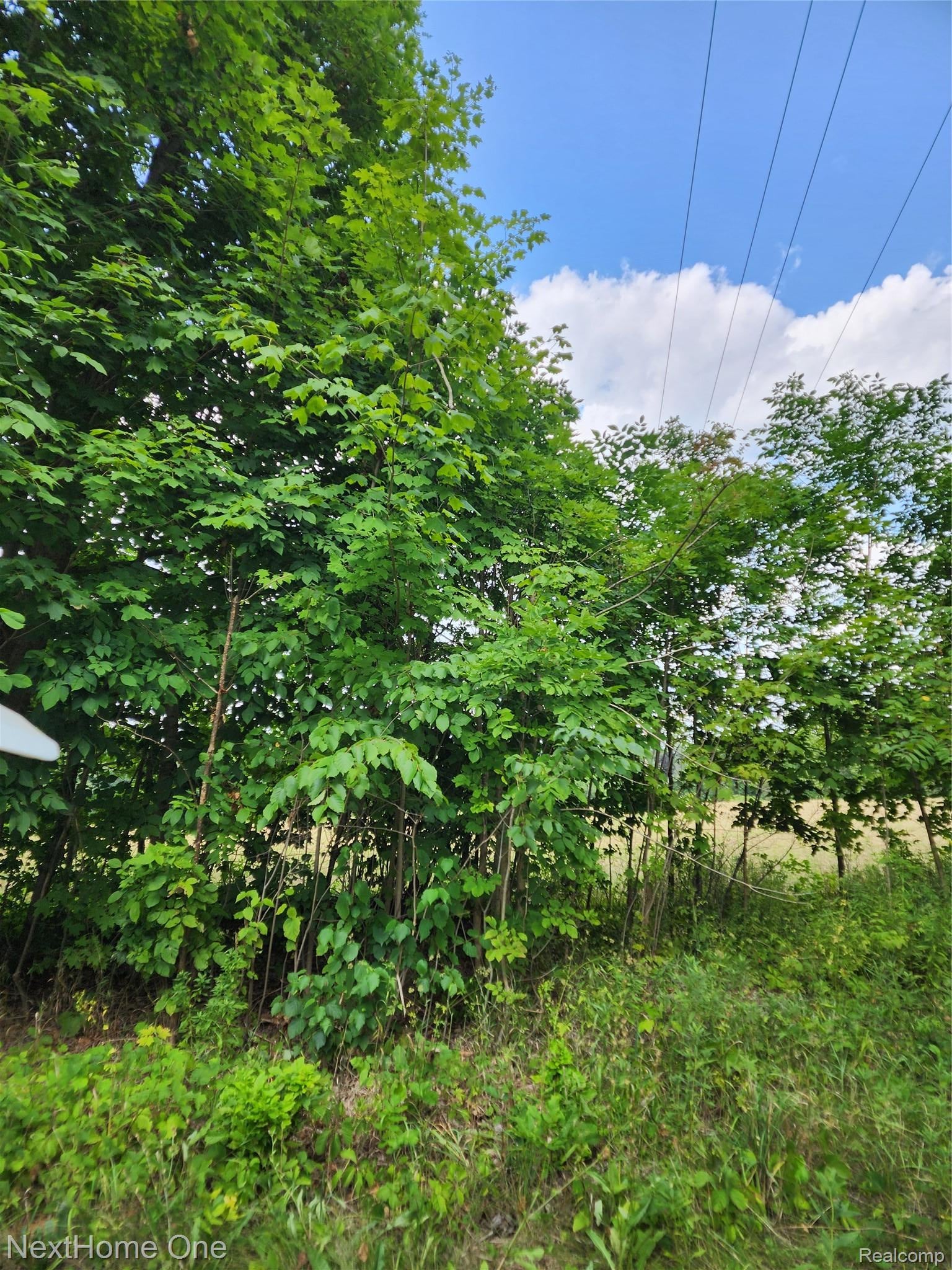 00 Musson Road
