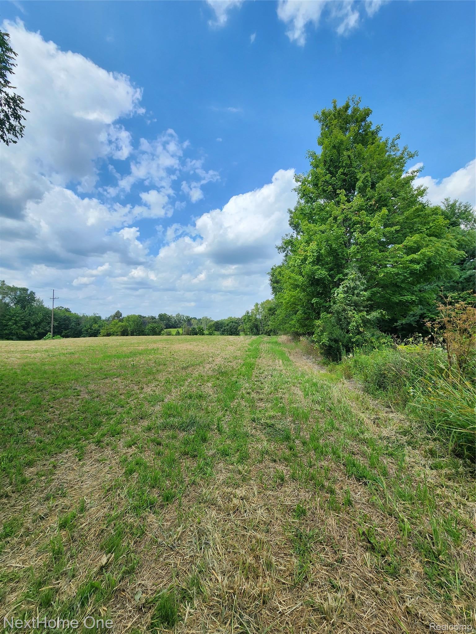 00 Musson Road