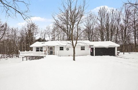 Photo of 11387 210th Avenue, Lincoln Township, MI 49655 (MLS # 78080065277)