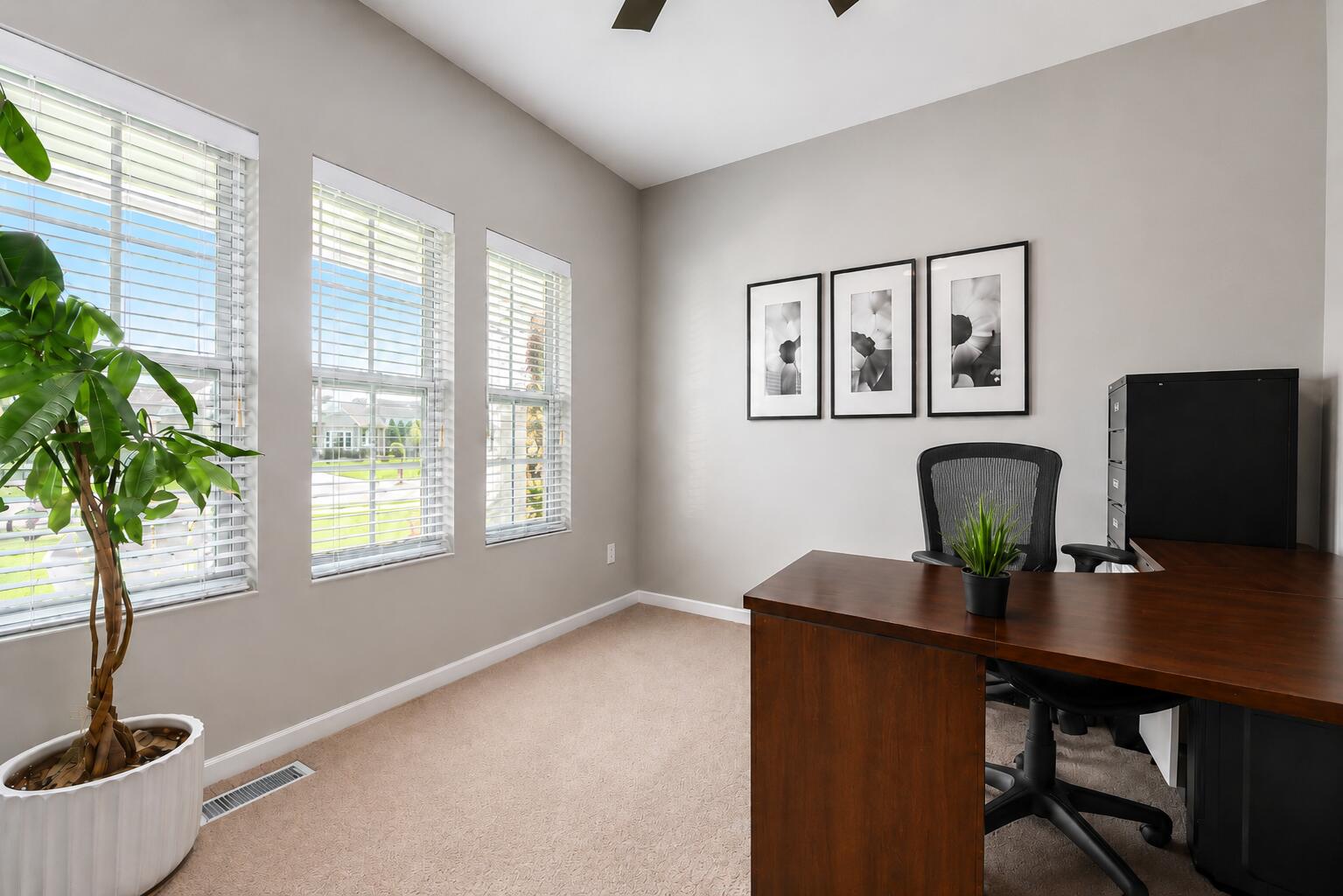 7260 Roslindale Trail