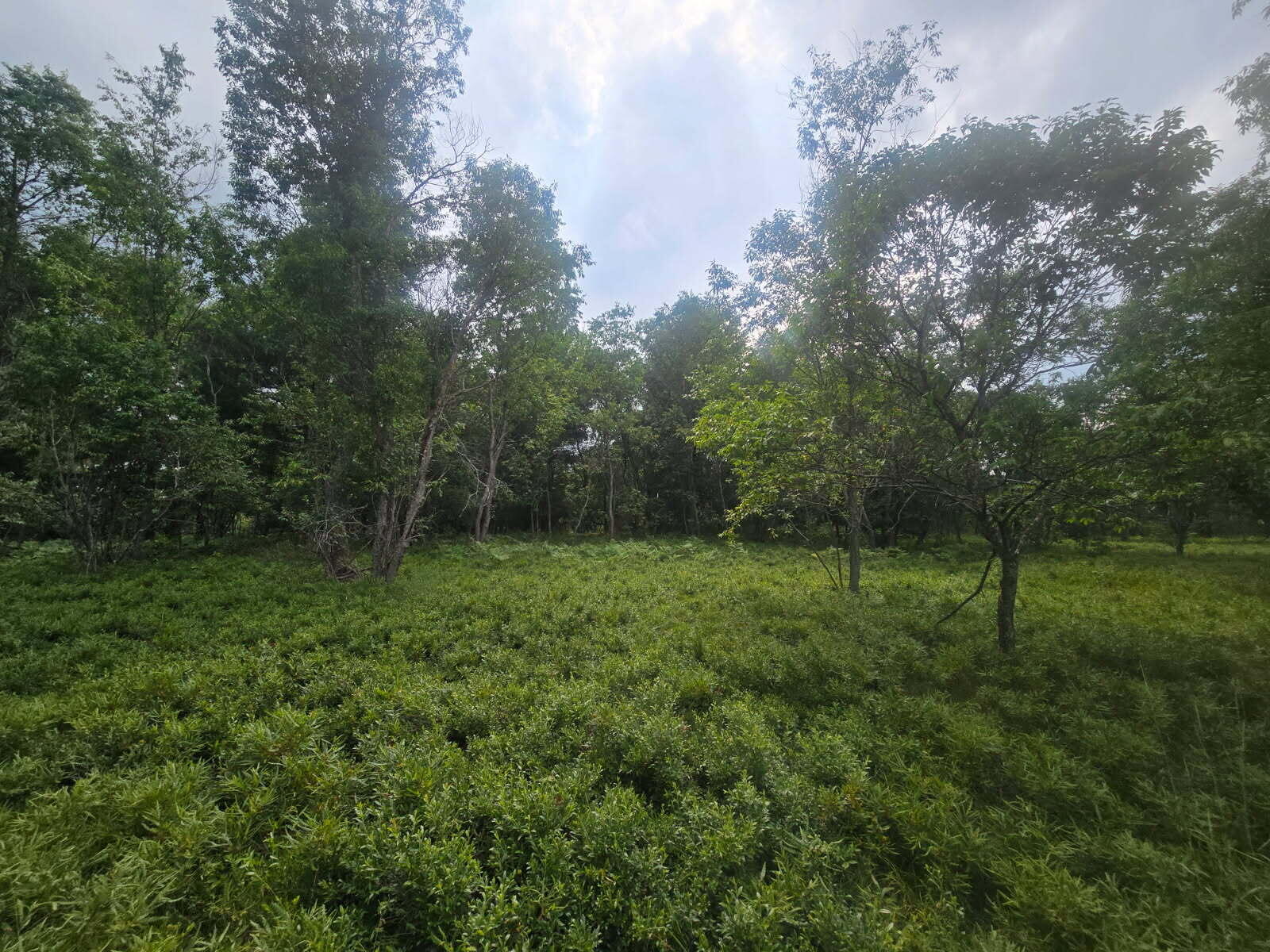 11722 Behlke Road SE