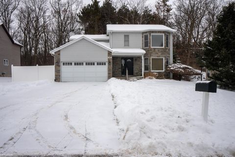 118 Jamestown Drive Metamora Village MI 48455