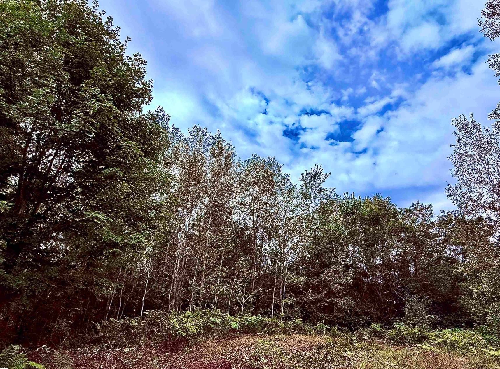 6888 Bancroft Road