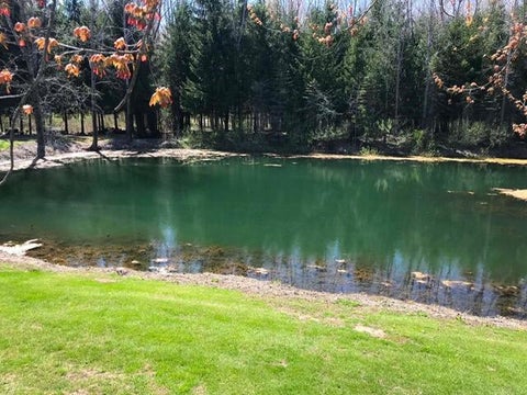Tiny photo for 11300 Cedar Lake Road, Bushnell Township, MI 48834 (MLS # 65026046005)