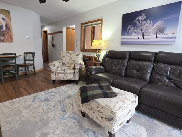 6658 Schuss Mountain Lane