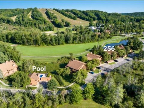 6658 Schuss Mountain Lane Custer Township MI 49659