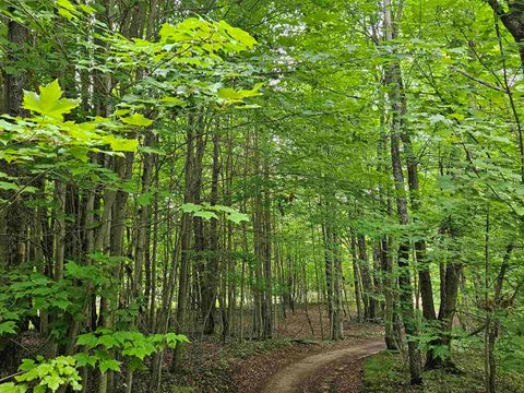 V/L Canyon Road Rose Lake Township MI 49665