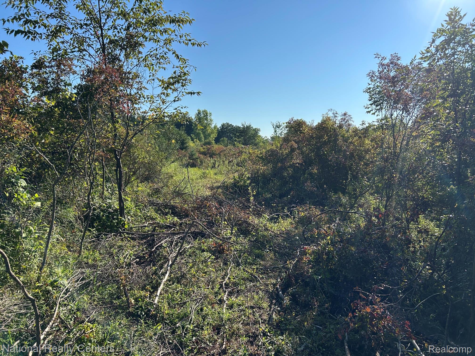 0000 Austin Farms Parcel C