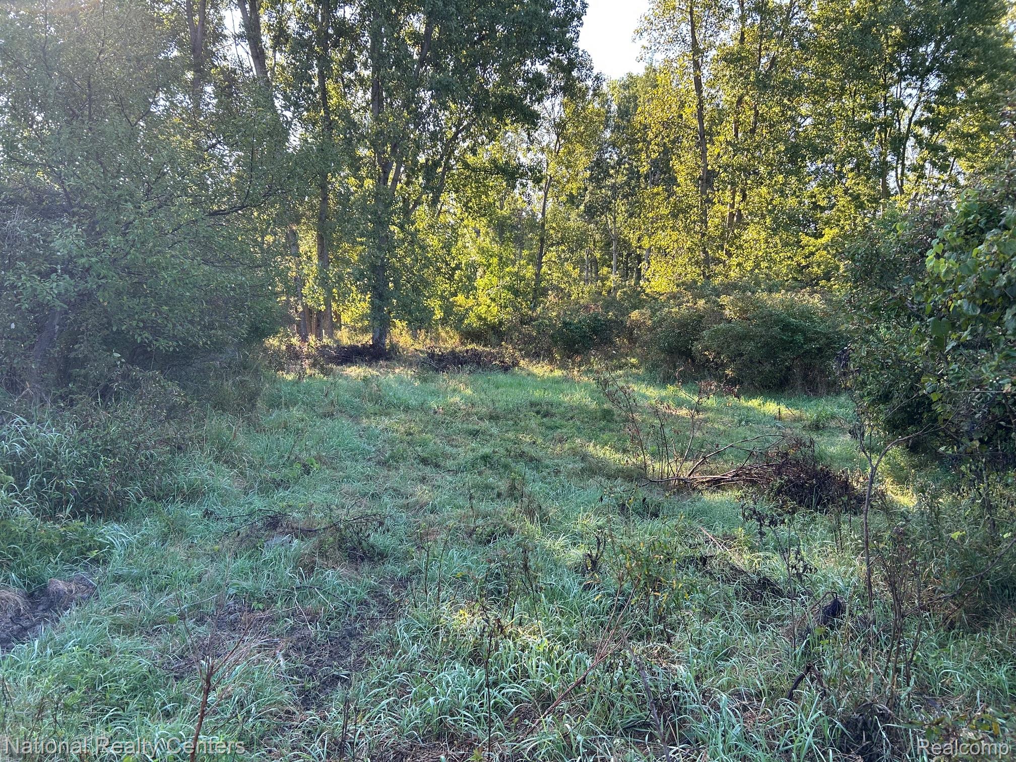 0000 Austin Farms Parcel C