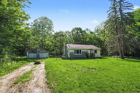 Tiny photo for 1075 33rd Street, Trowbridge Township, MI 49010 (MLS # 66026025917)