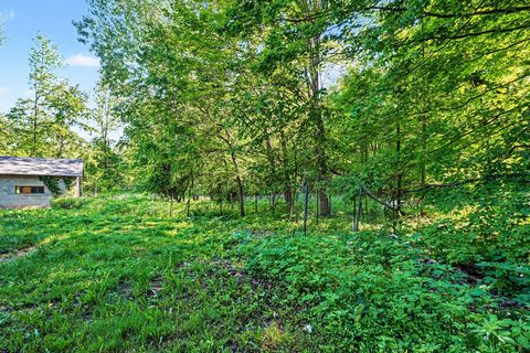 Tiny photo for 1075 33rd Street, Trowbridge Township, MI 49010 (MLS # 66026025917)