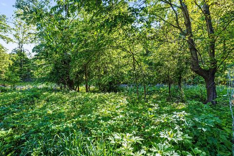 Tiny photo for 1075 33rd Street, Trowbridge Township, MI 49010 (MLS # 66026025917)