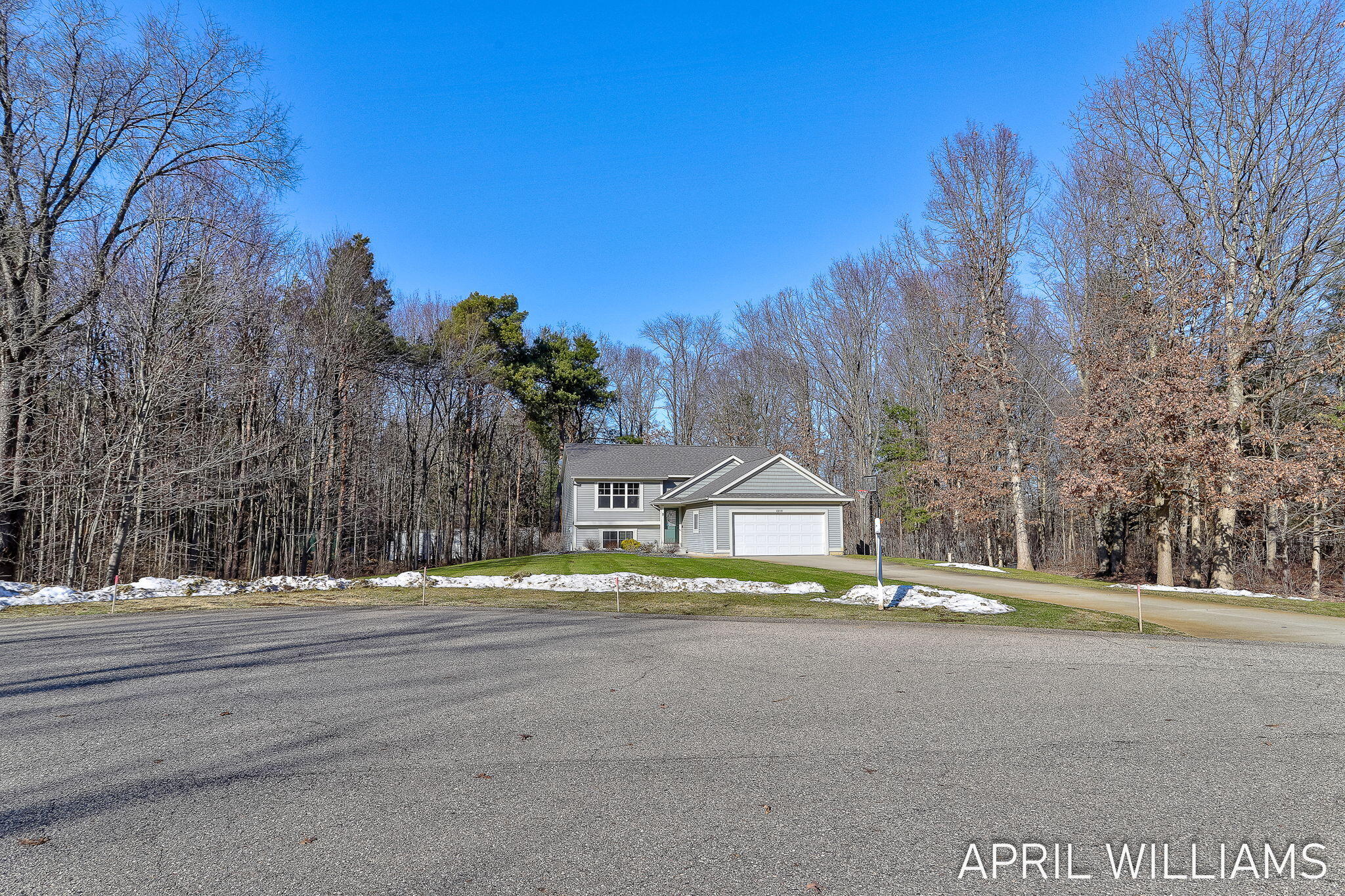 6919 Pinestead Court