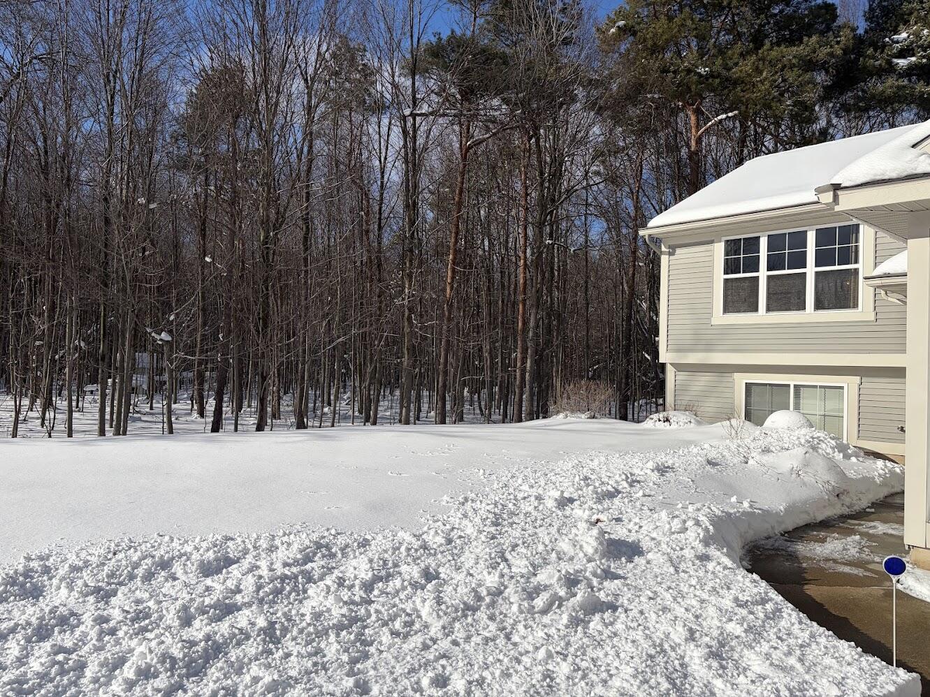 6919 Pinestead Court