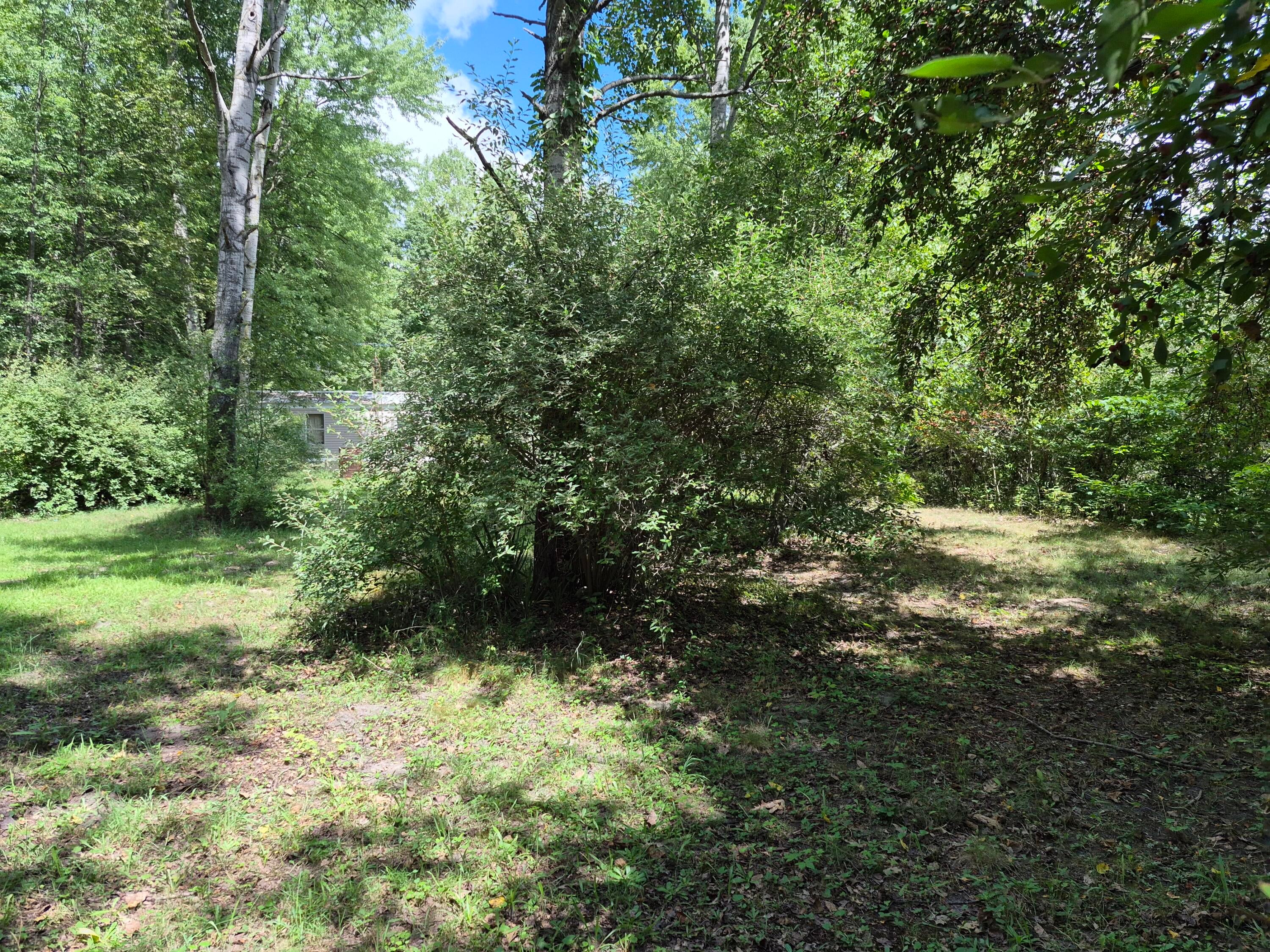 4107 E White River Drive
