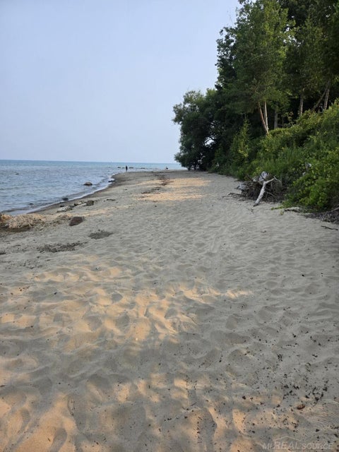 Tiny photo for 3905 S Lakeshore Road, Lexington Township, MI 48450 (MLS # 58050224767)