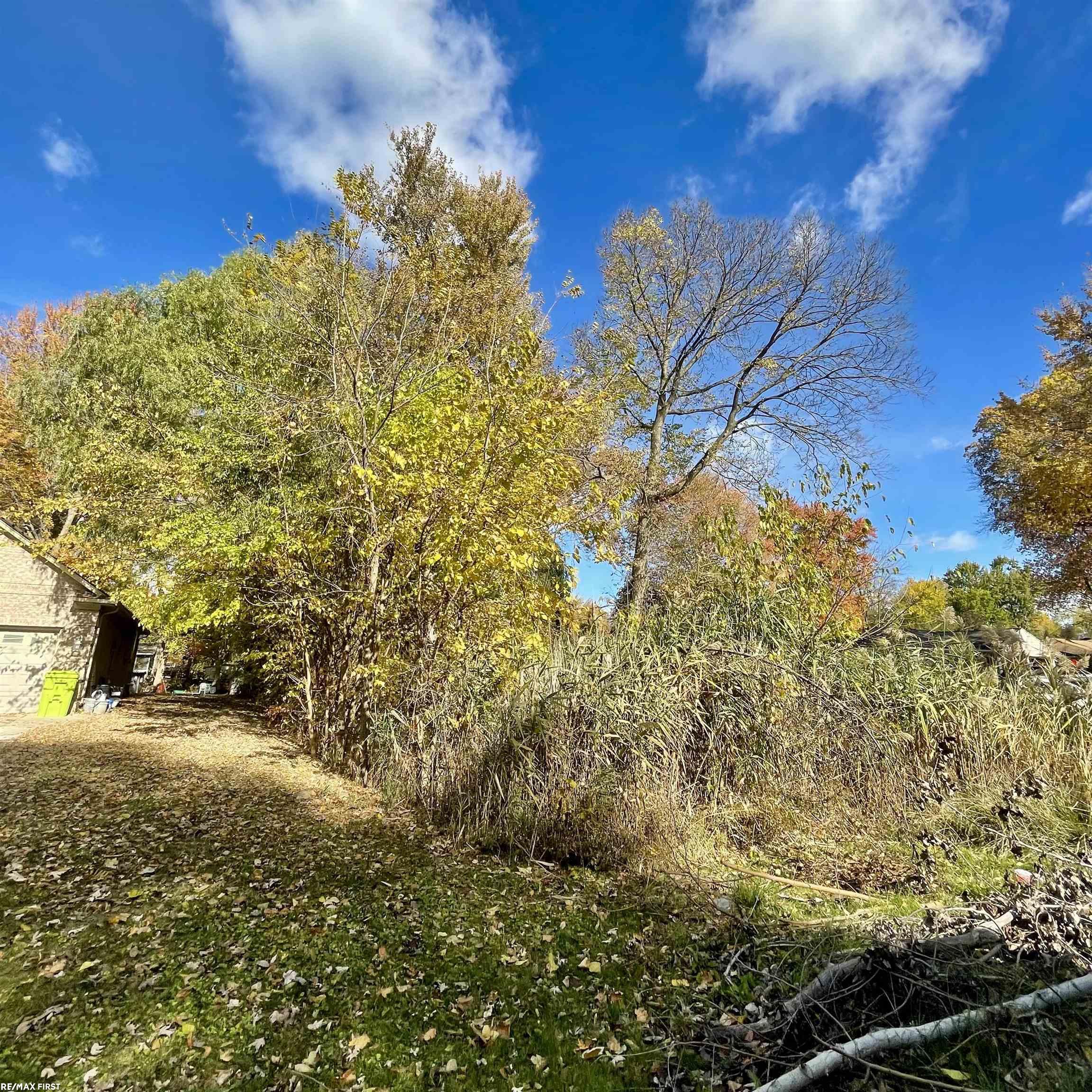 25529 Ashland Street