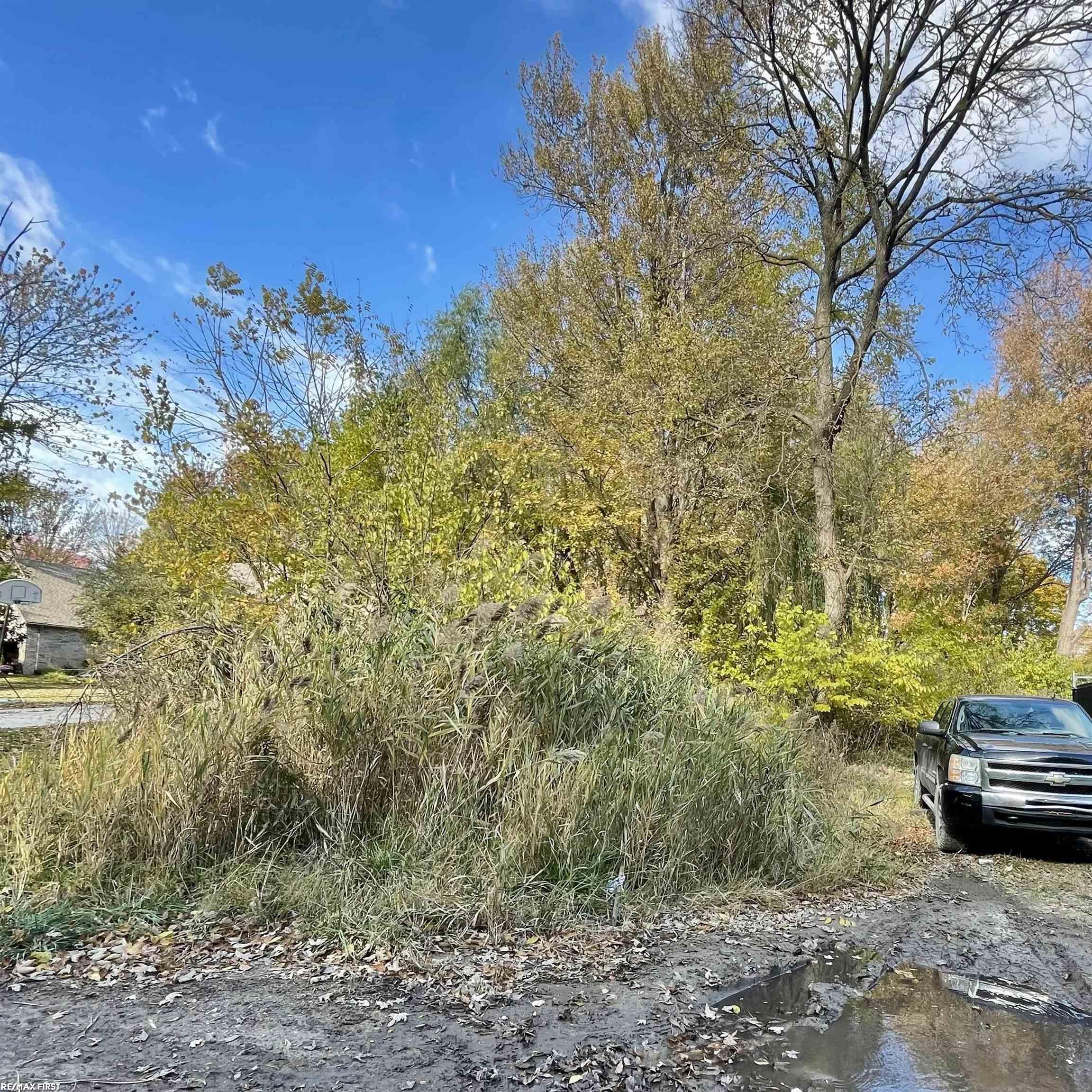 25529 Ashland Street