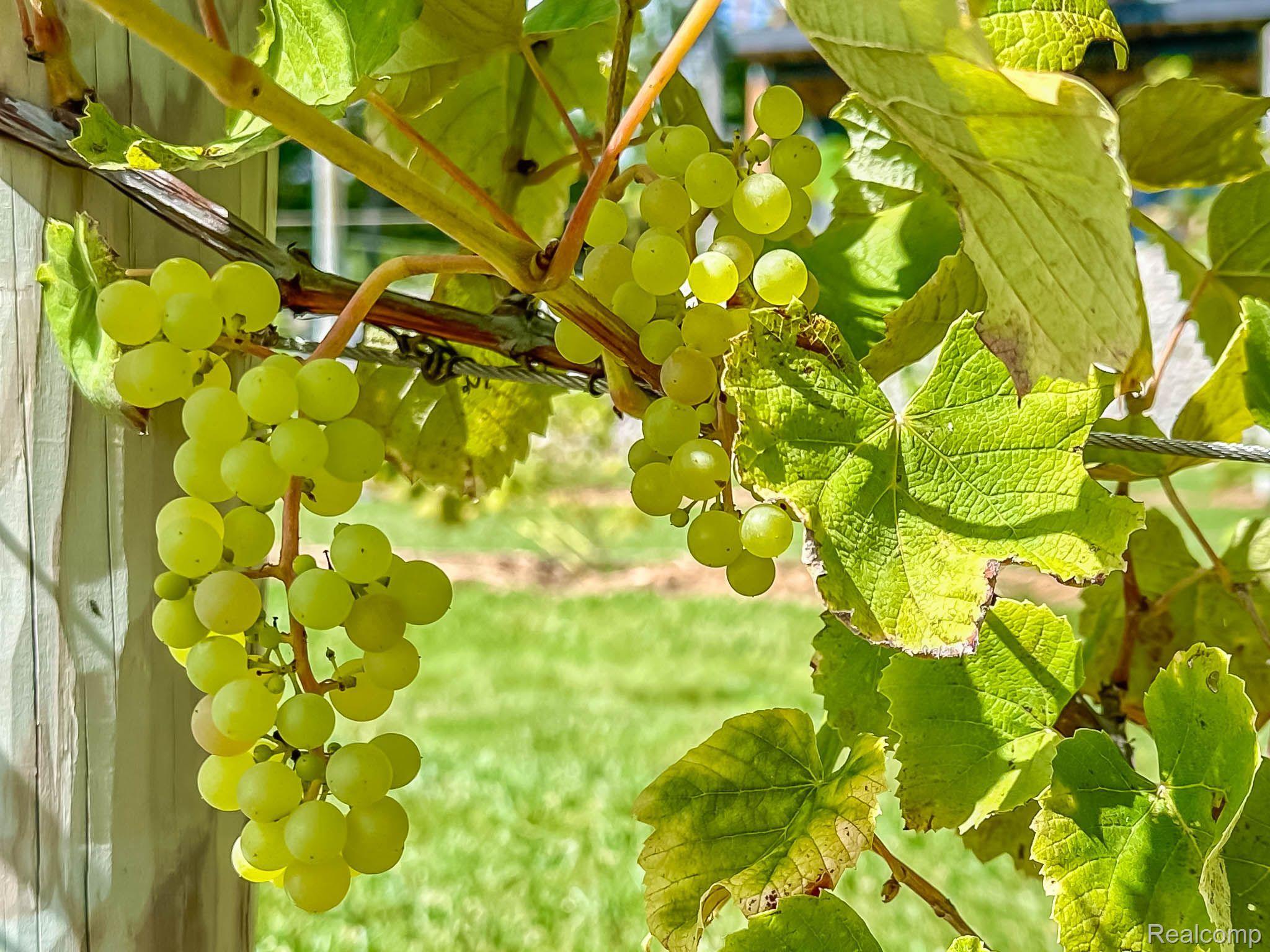 Harrisville City, Michigan 48740, United States, 3 Bedrooms Bedrooms, ,4 BathroomsBathrooms,Residential,Active,210379