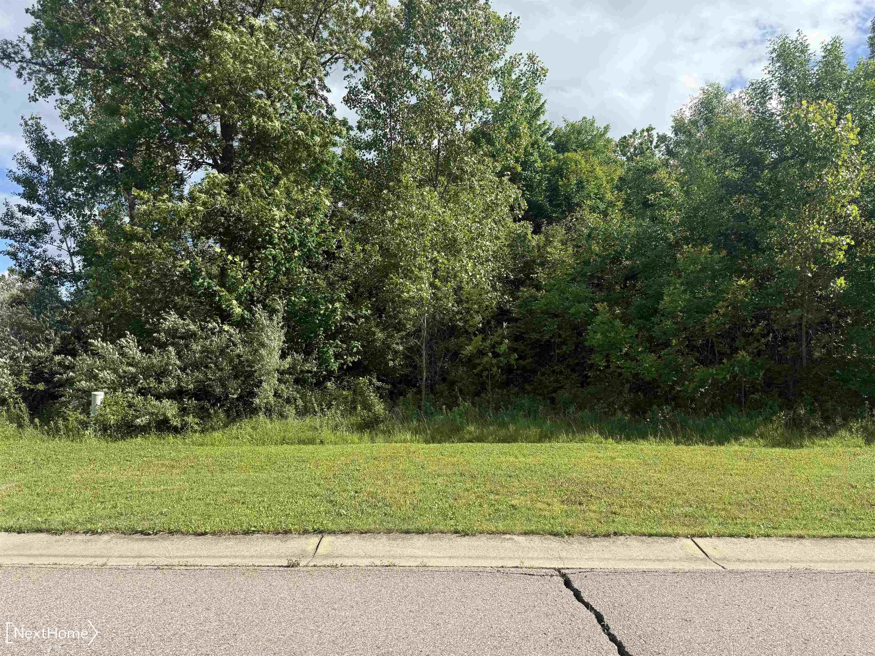 VL Lot 53 Willow Trail