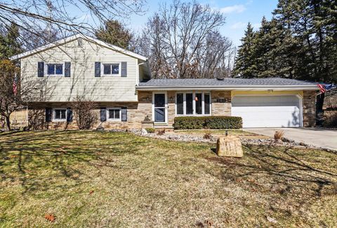 165 Thelma Drive Emmett Charter Township MI 49014