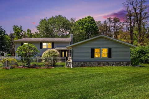 6985 N 12th Street Alamo Township MI 49009