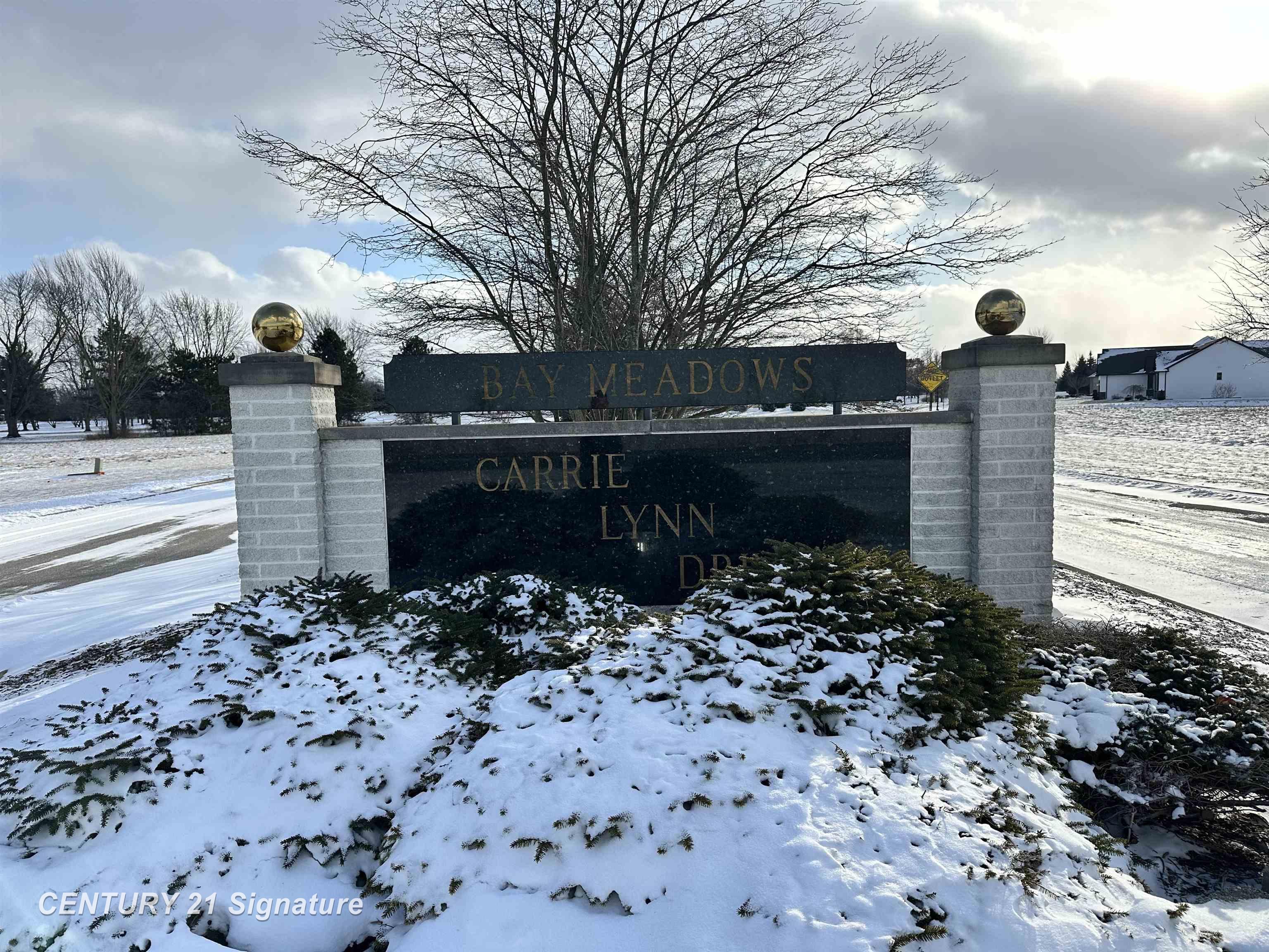 1115 Carrie Lynn Drive