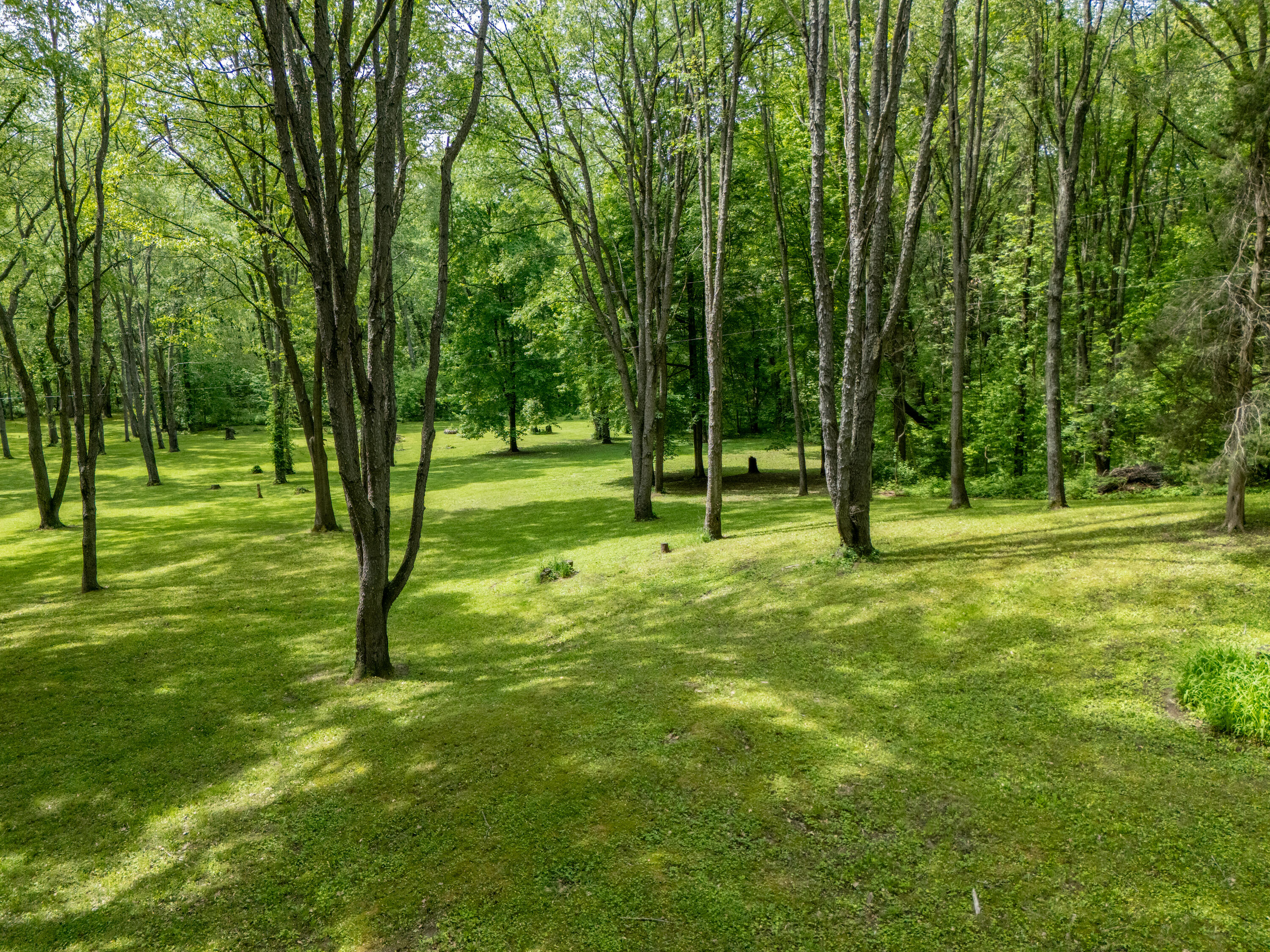 4511 Waldorf Road