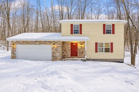 12095 Dubois Drive Austin Township MI 49346