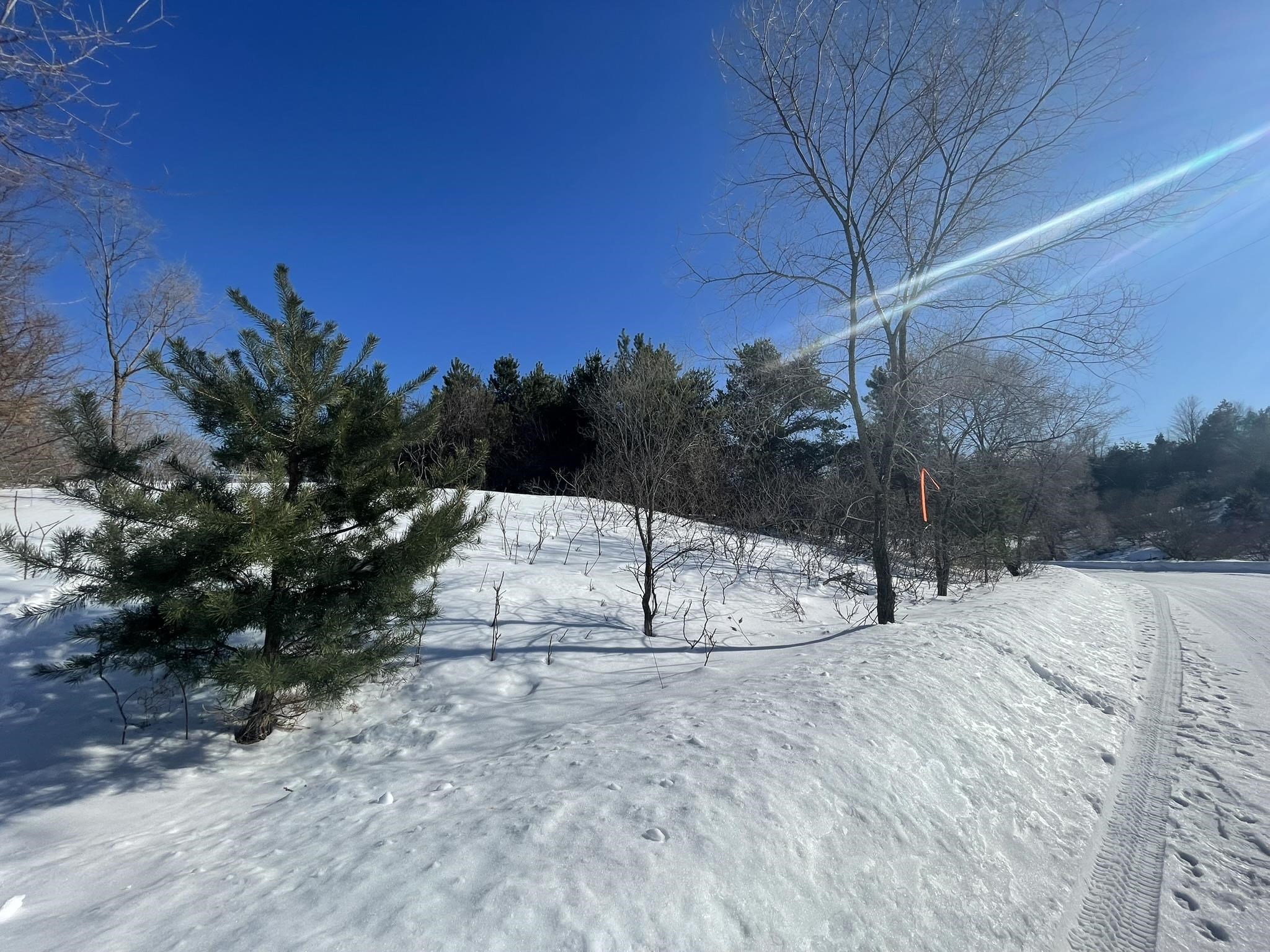 1.8+/- Acres Smith Road